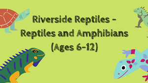 Riverside Reptiles -